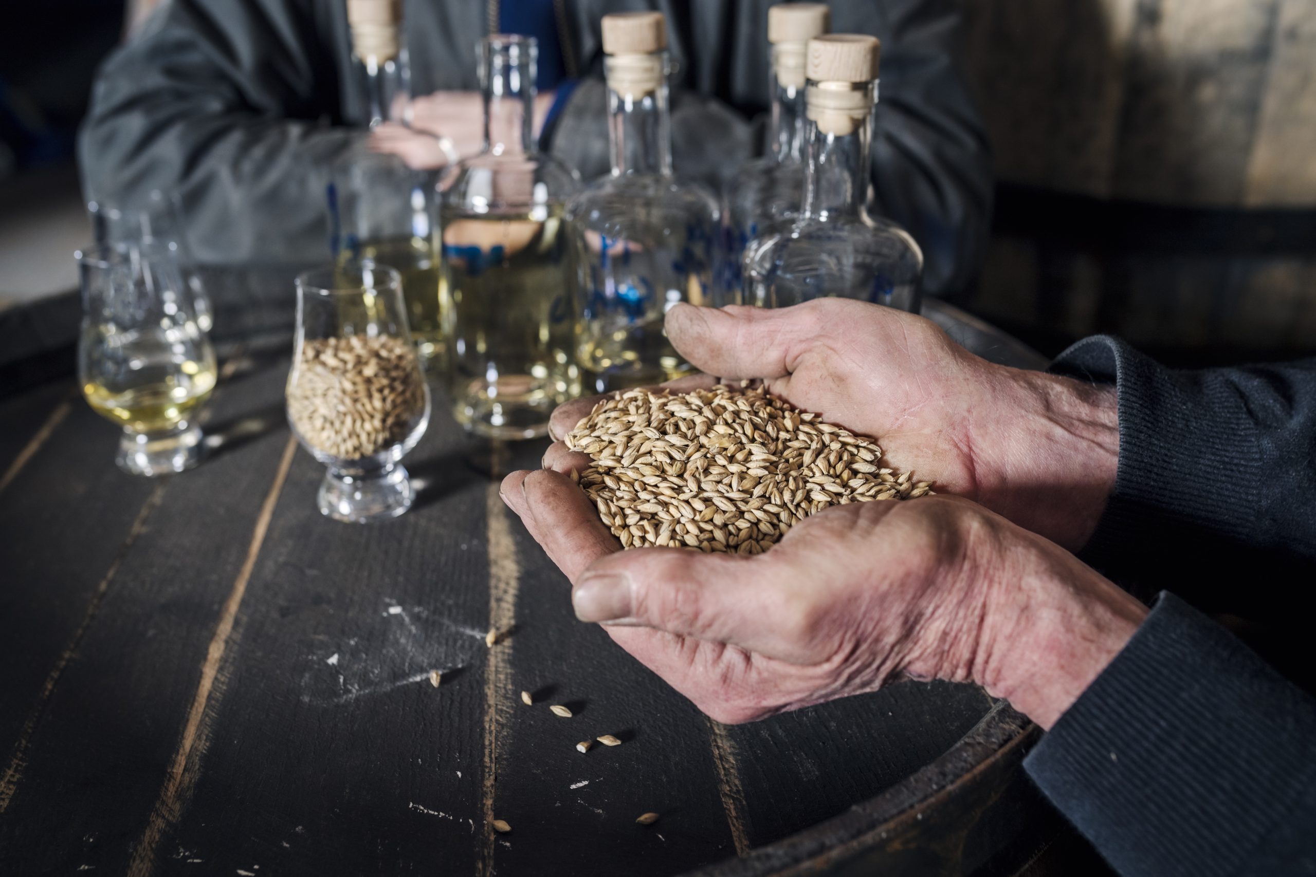 Radius Distillery Oremandsgaard March 2020