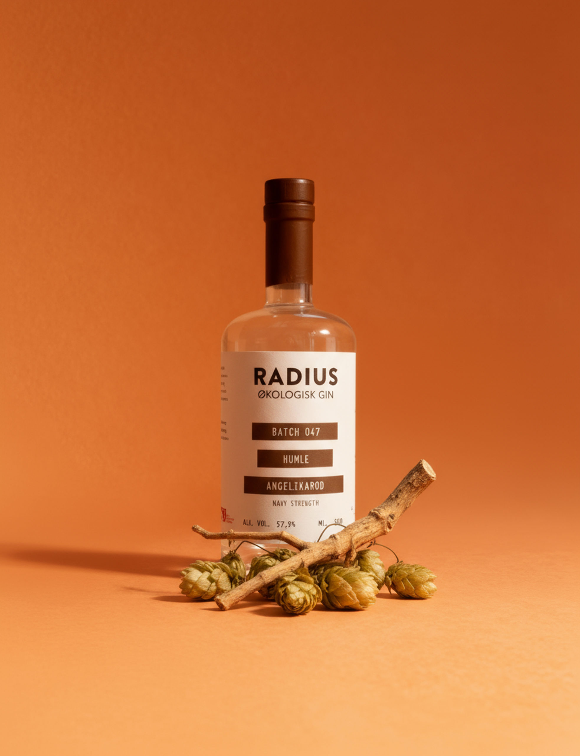 Batch47Angelika Props