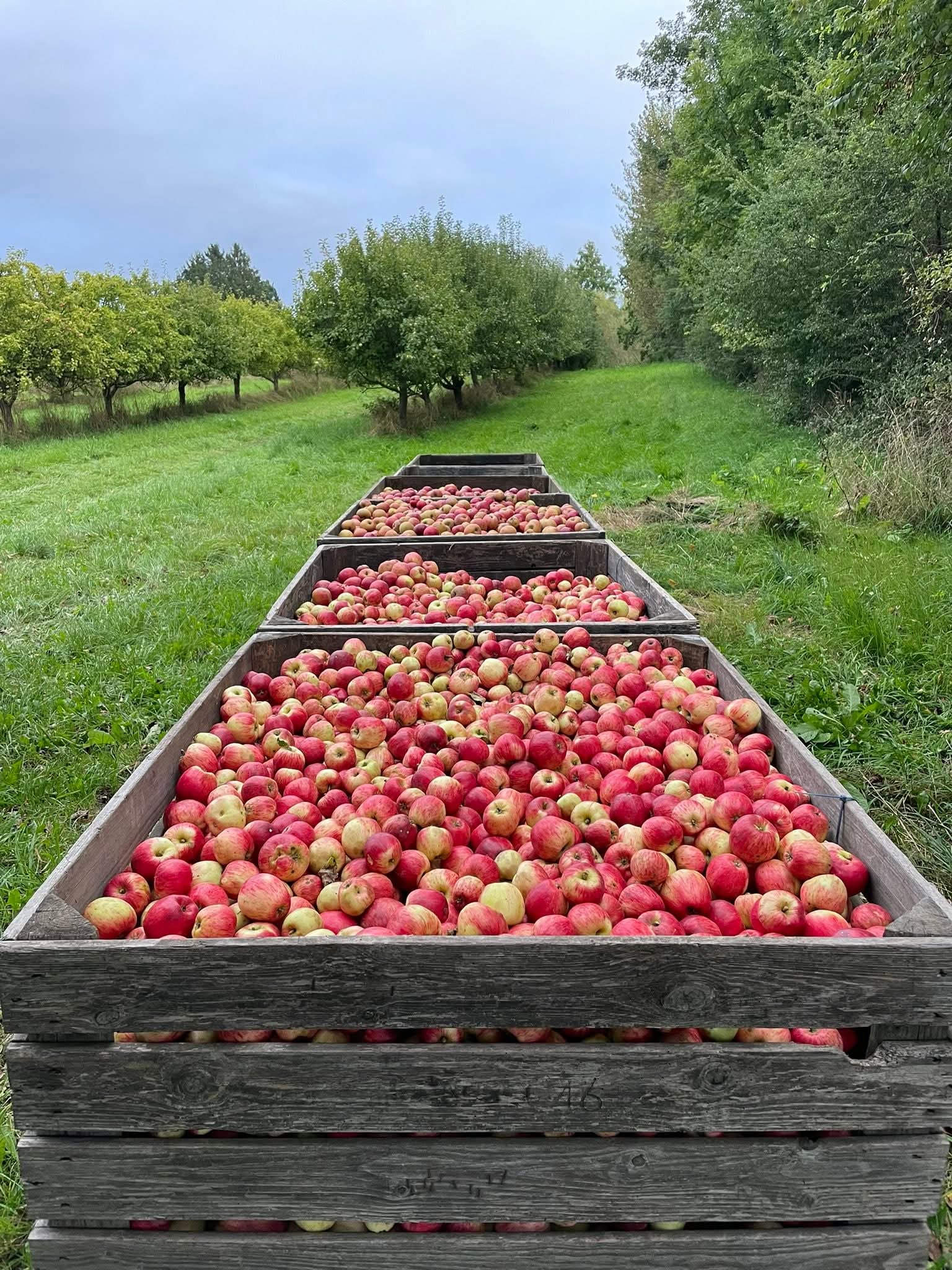 FB_IMG_1758559560973